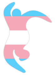 Moving Shadow logo but it's painted using the colors of the trans flag